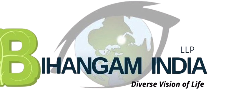 Bhiangam India LLP